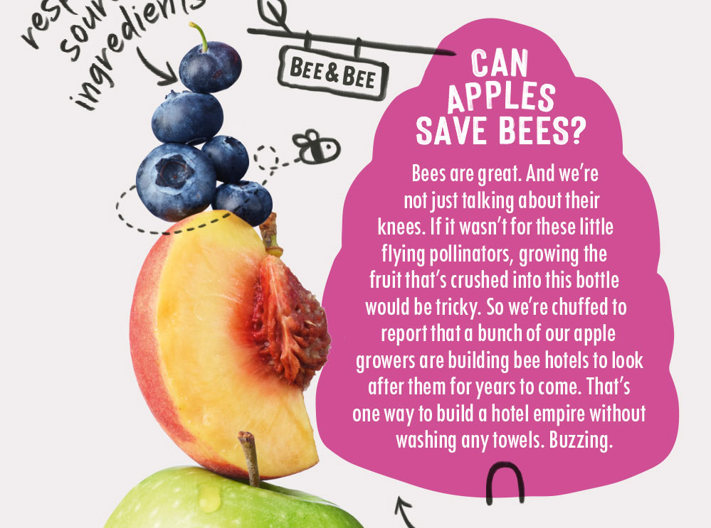 a back of pack story for an innocent smoothie